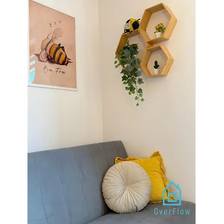 Apartment Honey Apartment- Cozy Retreat, 10 Minutes To Old Town *